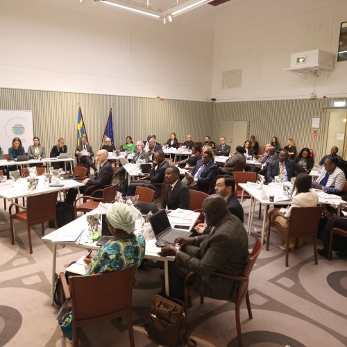 Stockholm - Thematic Meeting on Whole of Government Approaches